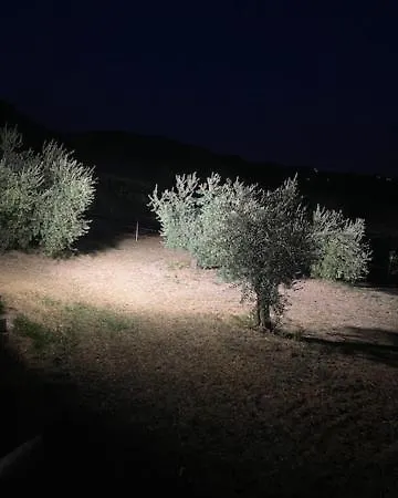 Fontana Maria *
